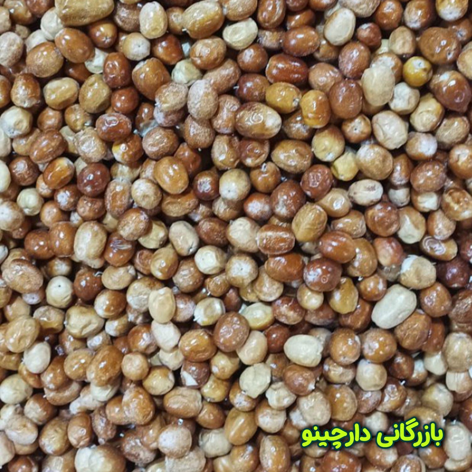 قیمت عمده سنجد (1403) سنجد نقلی
