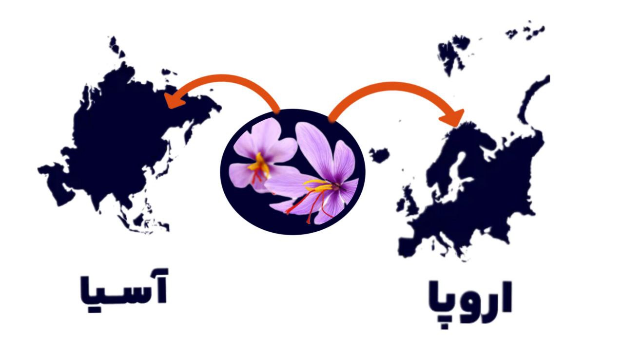 آمار صادرات زعفران ایران در اسفند سال 1403 مقایسه صادرات زعفران ایران به آسیا و اروپا