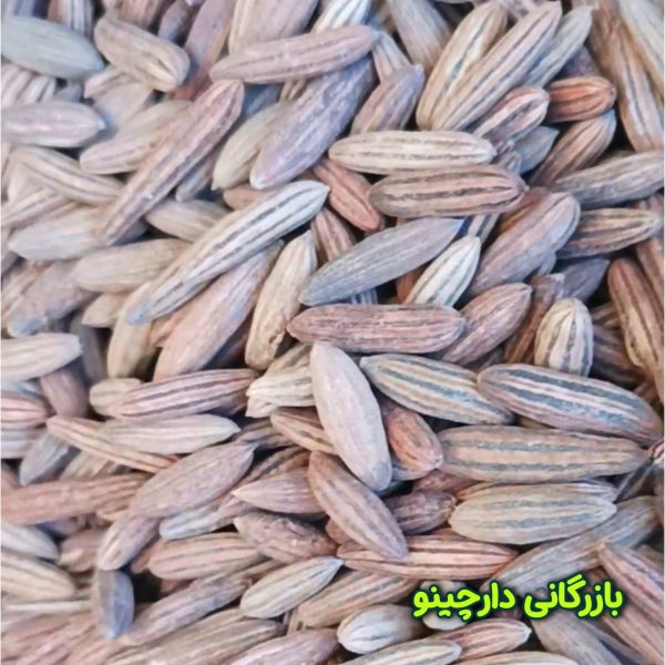 خرید هسته سنجد مرغوب - قیمت عمده هسته سنجد