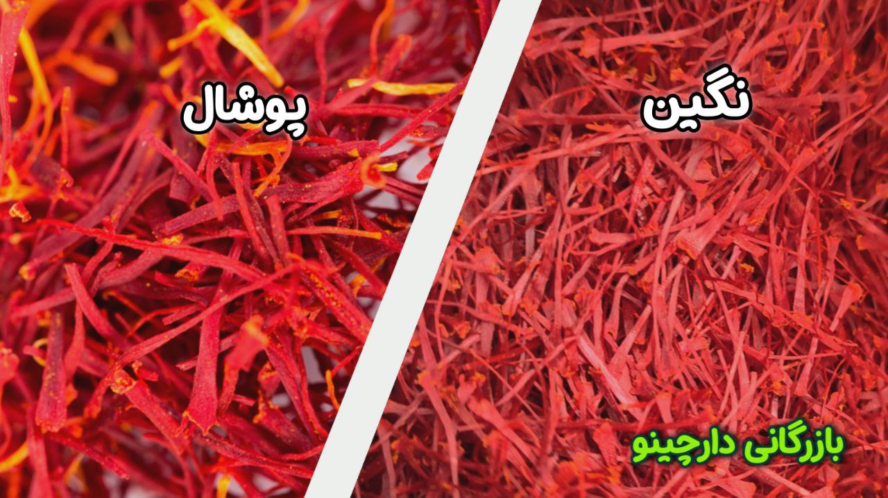 تفاوت زعفران پوشال و نگین