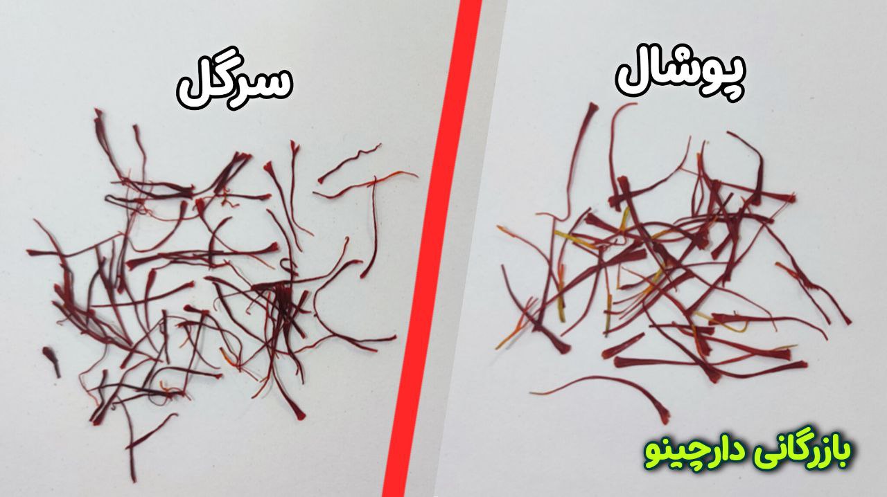 تفاوت زعفران پوشال و سرگل