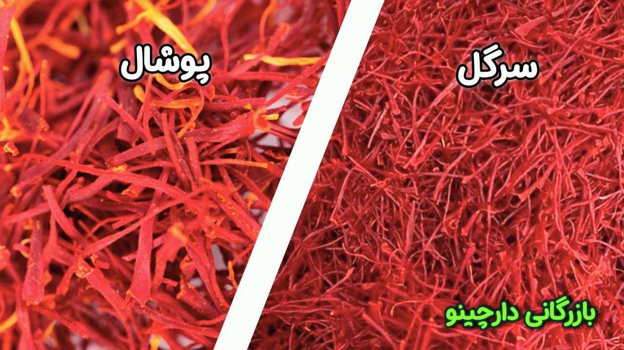 تفاوت زعفران پوشال و سرگل