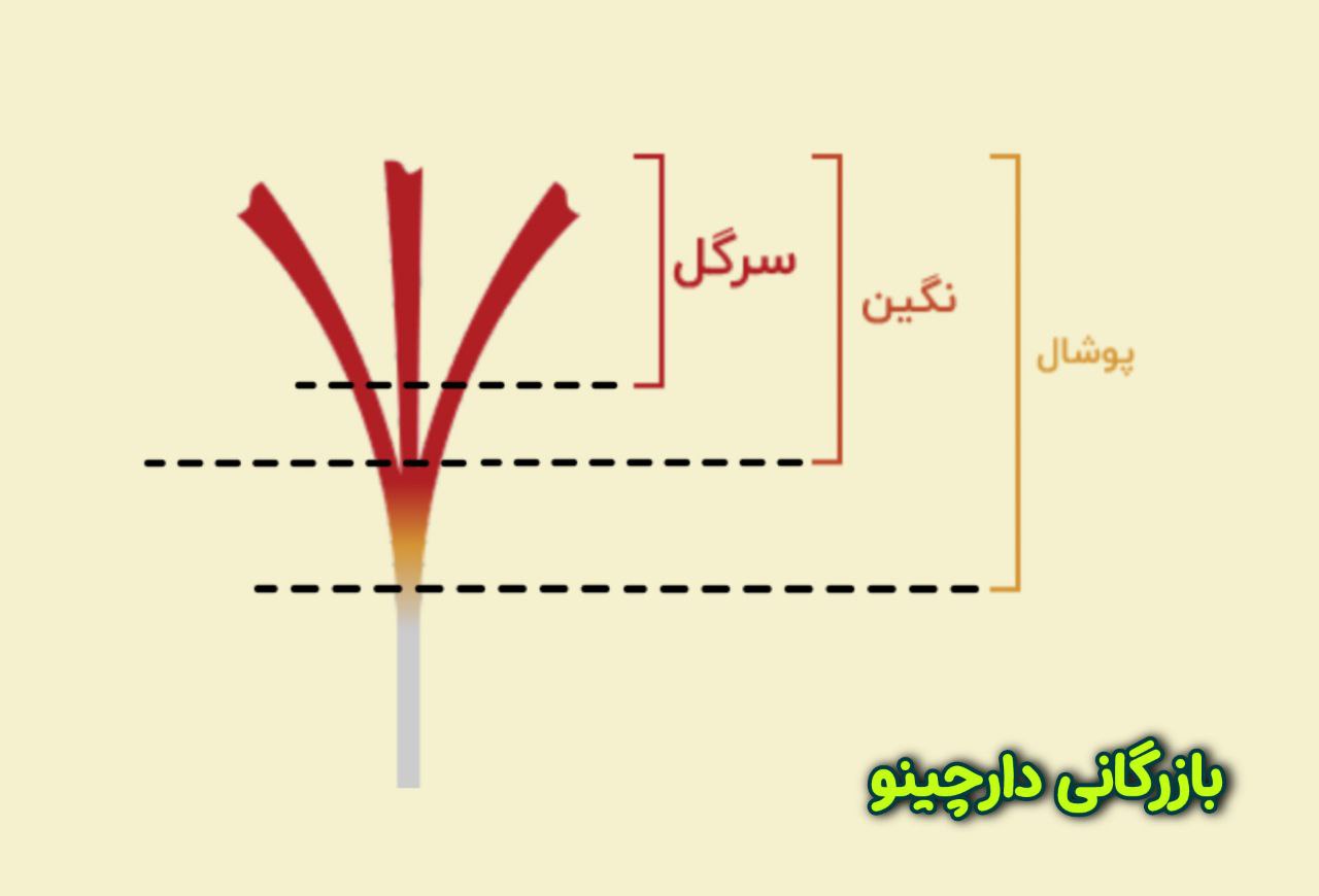 زعفران پوشال چیست