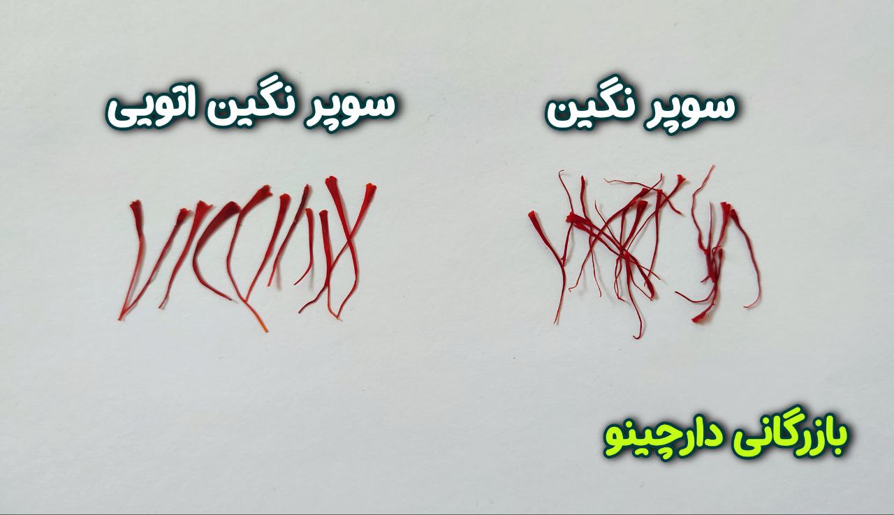 تفاوت زعفران سوپر نگین و سوپر نگین اتویی