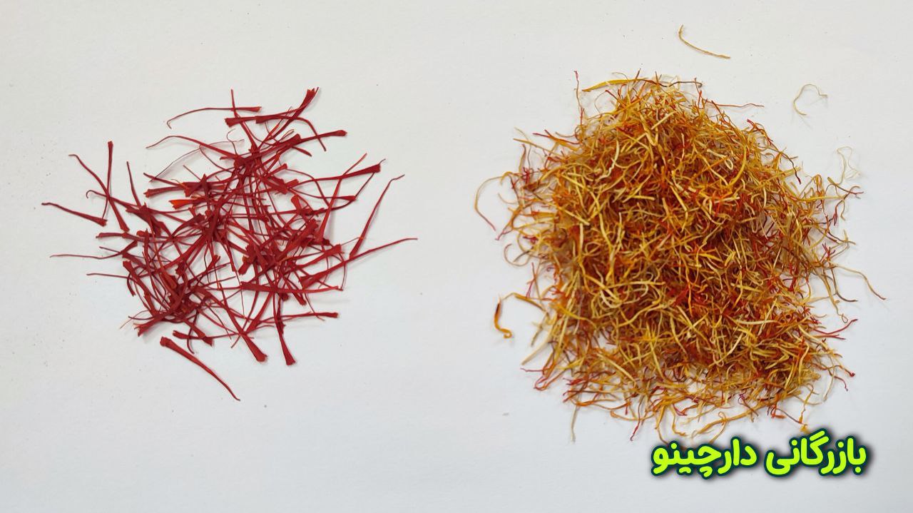 تفاوت خواص ریشه زعفران و زعفران